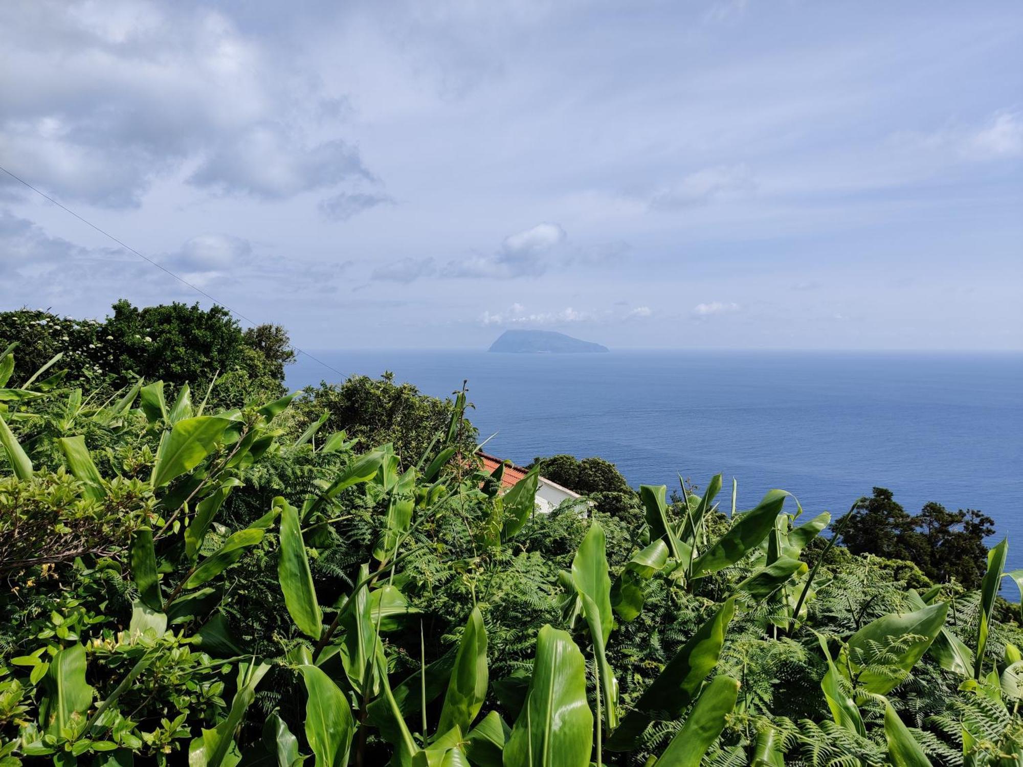 Вілла Ocean View Cedros Санта-Круш-даш-Флореш Екстер'єр фото